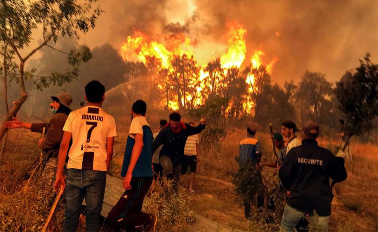 The worst-hit area is Tizi Ouzou, the largest Kabylie district