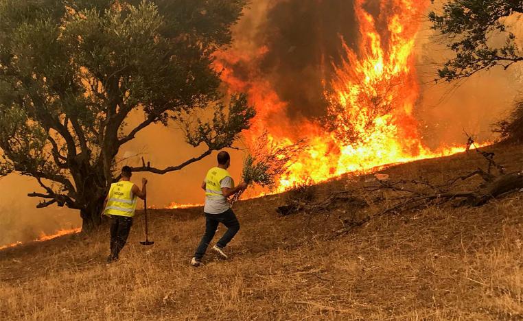 Wildfires in Tizi Ouzou