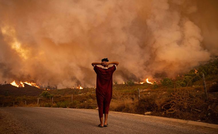 حرق انسان على هامش حرائق الغابات في الجزائر