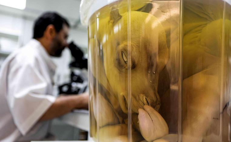 مركز التكنولوجيا الحيوية الإنجابية في دبي