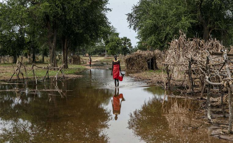 Victims of climate change