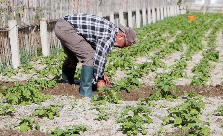 'النظام الرملي' 