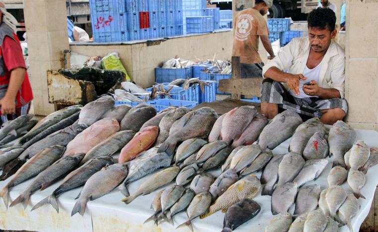 الصياد والبائع والمستهلك يعاني في اليمن بسبب الحرب والتدهور الاقتصادي