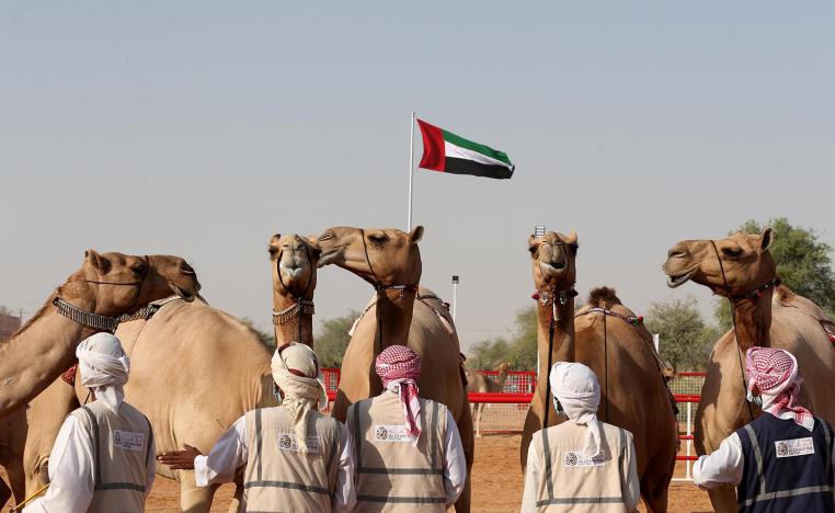 Al Dhafra Festival aspires to preserve the cultural heritage of Abu Dhabi 