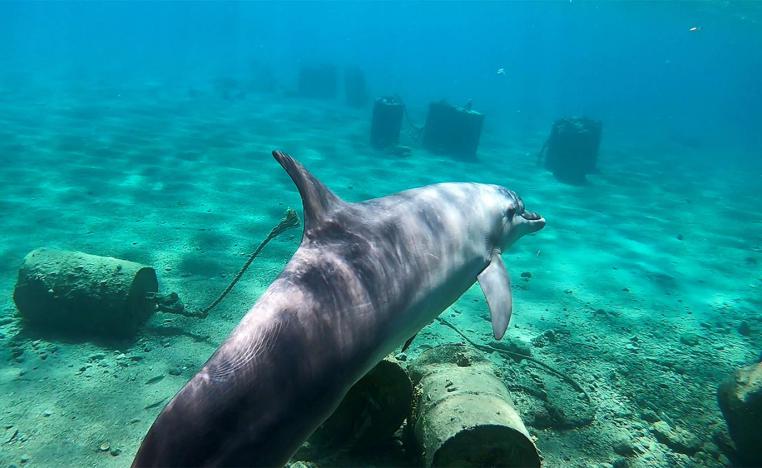 Israel's energy minister had previously come out against the deal, citing ecological risks to Eilat's fragile coral reefs