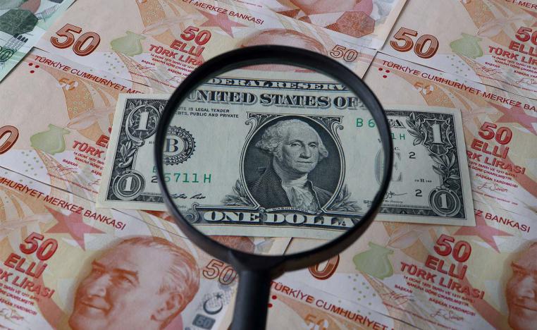 The lira lost 47% of its value against US dollar this year