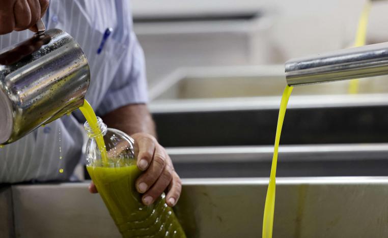 زيت الزيتون