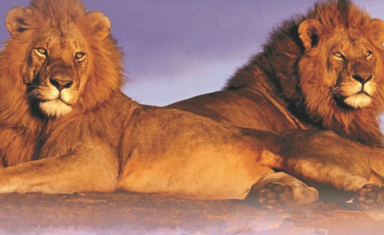 'أبهاره وآريان'