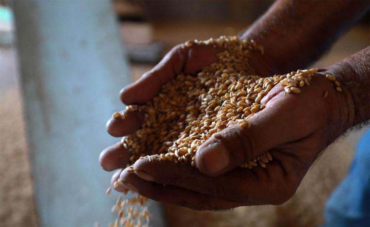 Syria relies mostly on wheat imports from Russia 