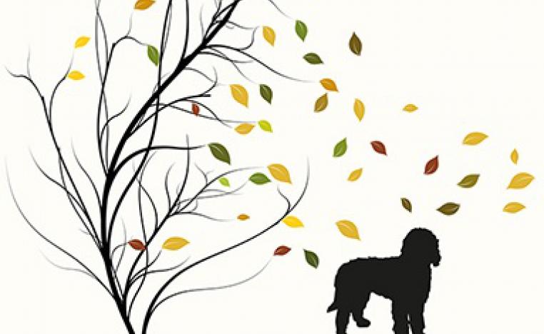 'الكلبة التي تجرأت على الحلم'