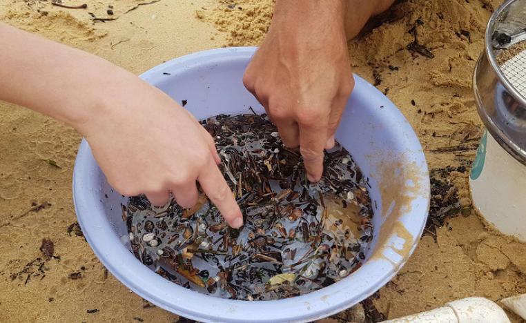 جزيئات البلاستيك