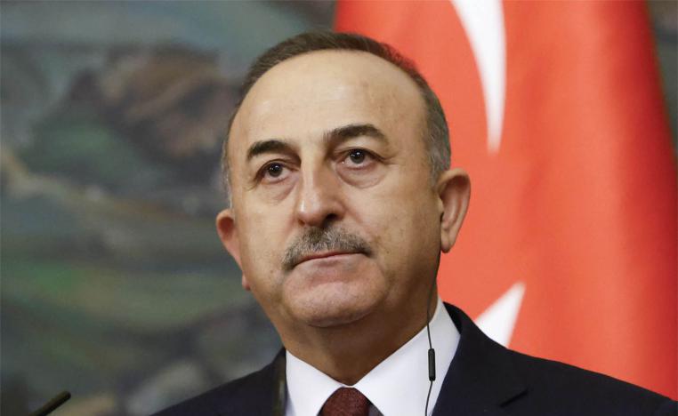 Cavusoglu said he would travel to Israel and Palestine with Energy Minister in mid-May 