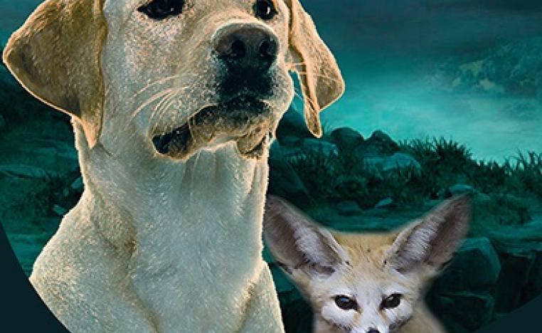 'أندلينغ الأخيرة' 