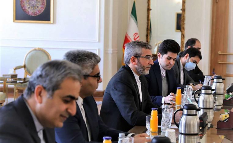 رئيس الوفد الايراني المفاوض أكد عزم بلاده حسم الملف النووي في فيينا