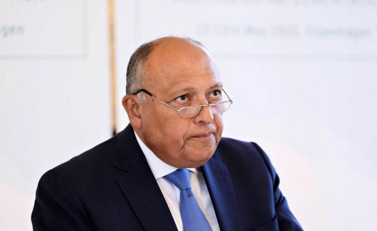 Egyptian Foreign Minister Sameh Shoukry, COP27 president