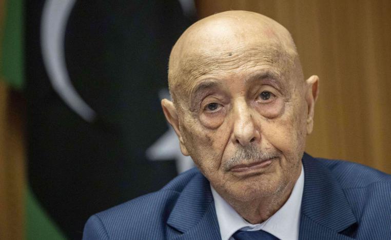 الخلاف بين مجلس النواب والدولة يدور حول سبعة مناصب سيادية   