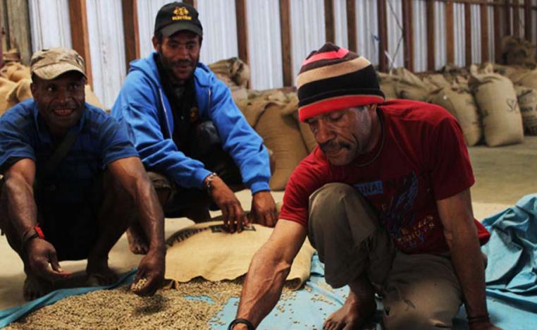 مزارعو القهوة في غينيا الجديدة