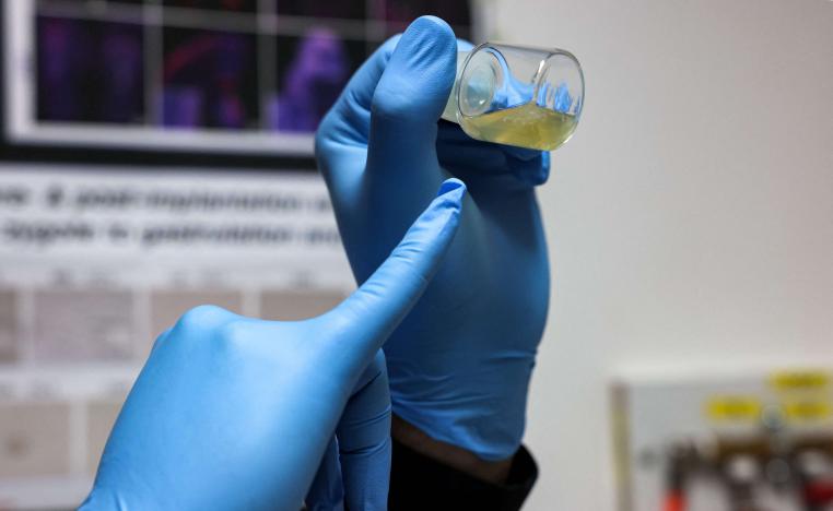 جنين صناعي لفأر