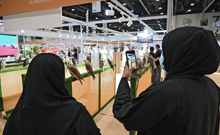 Falconry has become the sport of the Emirati family 