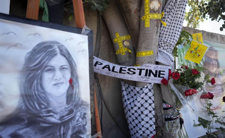 B’Tselem accused the Israeli army of carrying out a whitewash