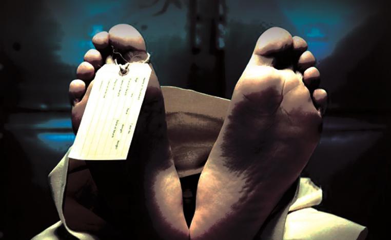 'براد الموتى'