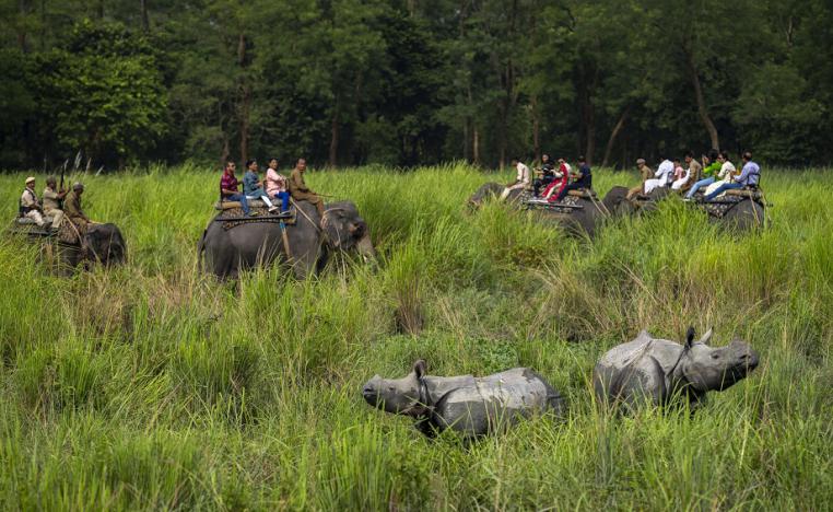 الحياة البرية