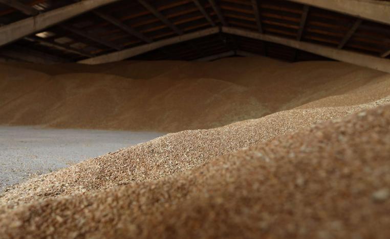 الحبوب ورقة روسية للضغط على الغرب