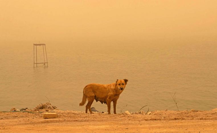 عاصفة ترابية في البصرة