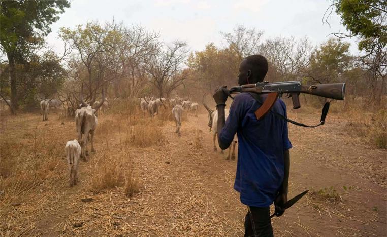 Violence is rife in parts of South Sudan where clashes triggered by domestic disputes over grazing areas, water, cultivation grounds and other resources often turn deadly