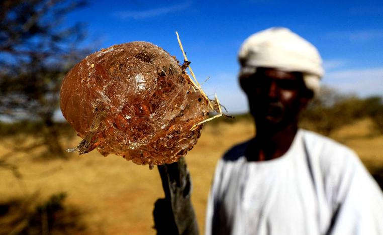 المزارعين يكافحون لزراعته