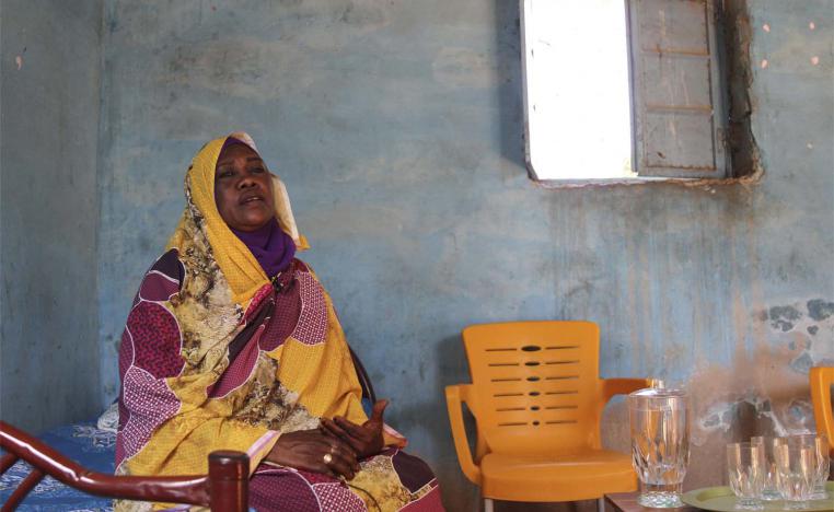 Critics accuse Sudan's leaders of not putting more funds towards the health sector