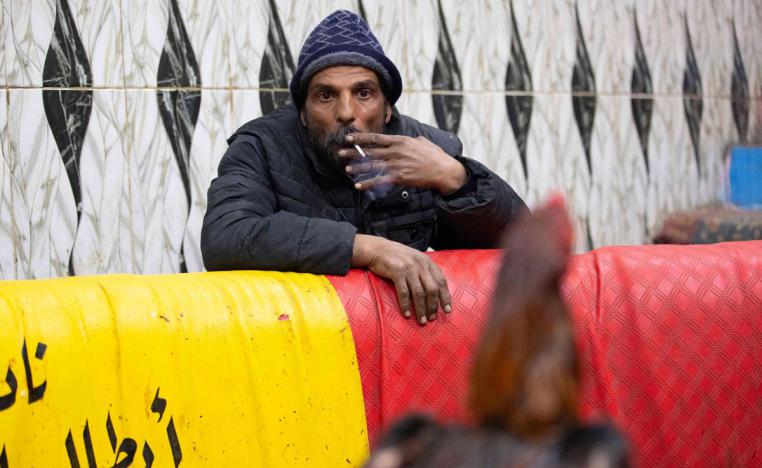 مصارعة الديوك