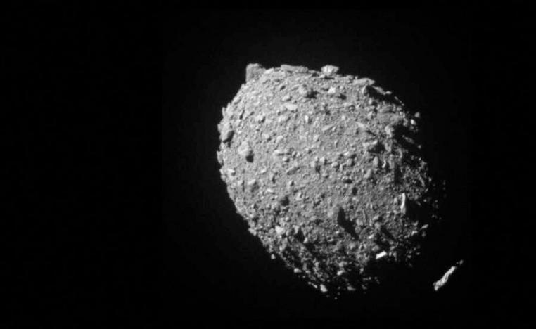 '2023 دي دبليو'