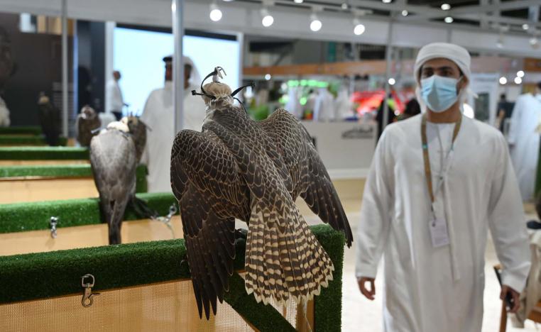 The falconry sector witnessed an unprecedented and record-breaking participation of more than 60 exhibitors in ADIHEX 2022