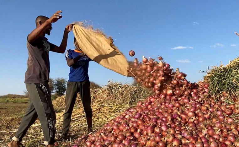 السعودية من اكثر الدول الخليجية اسثمارا في السودان في ميدان الزراعة