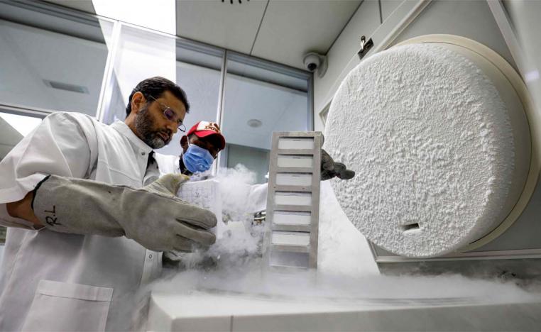 Reproductive cloning of animals uses a process called somatic cell nuclear transfer