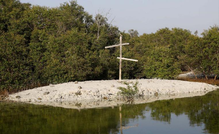 A view of Abu Dhabi's Grey mangrove