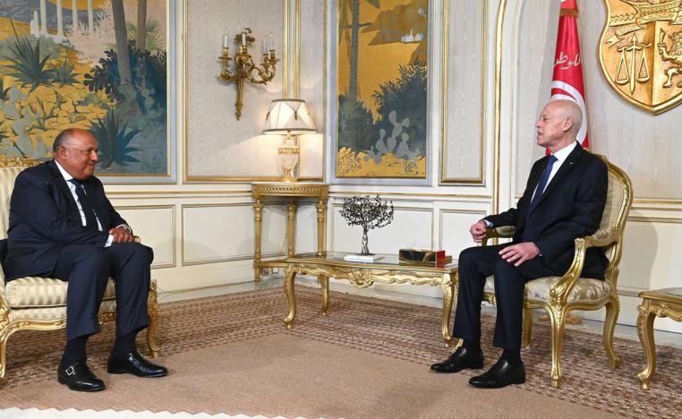 مصر دعمت تونس منذ اتخاذ الاجراءات الاستثنائية في تونس