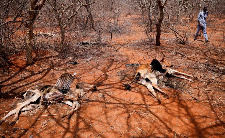 African countries are increasingly exposed to the impact of extreme weather linked to climate change