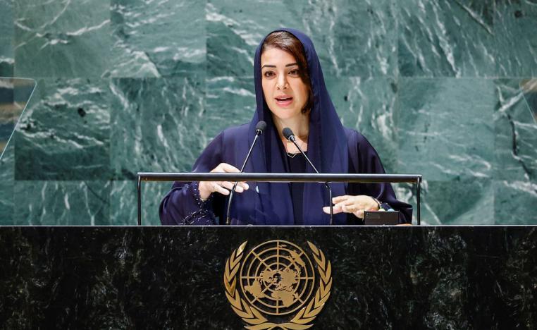 ريم الهاشمي  تؤكد أن موقف الإمارات ثابت منذ عقود