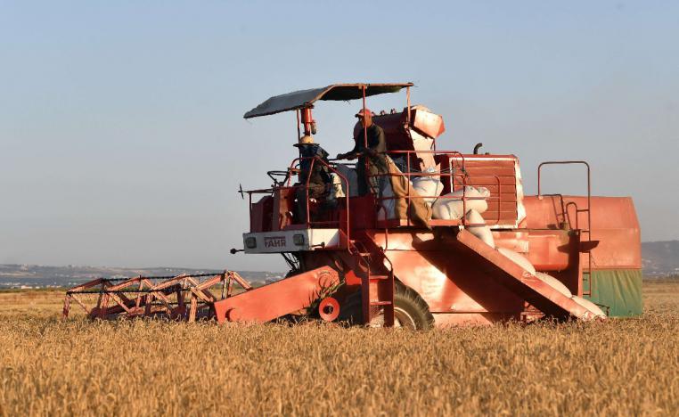 الموسم الزراعي