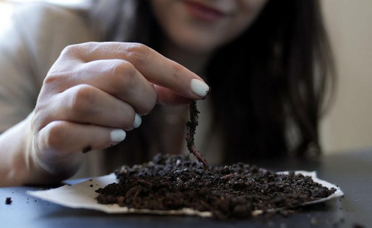 ديدان الارض