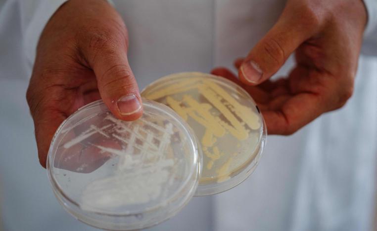 بروتينات صناعية