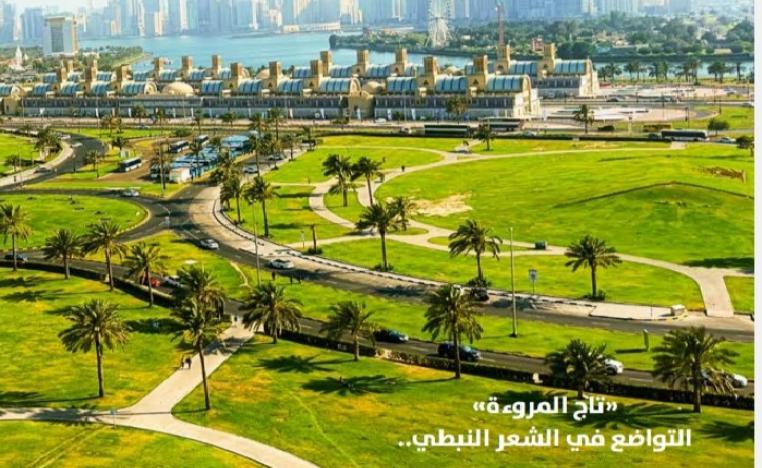  'الحيرة من الشارقة'