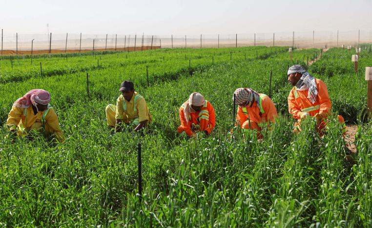 For the first time, agriculture is a major focus at this COP28 climate summit