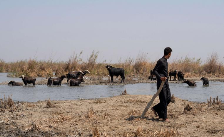 الجفاف يهدد قطاع الزراعة في العراق
