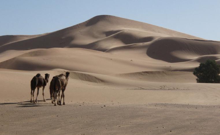 كثبان 'لالا لالِيا'