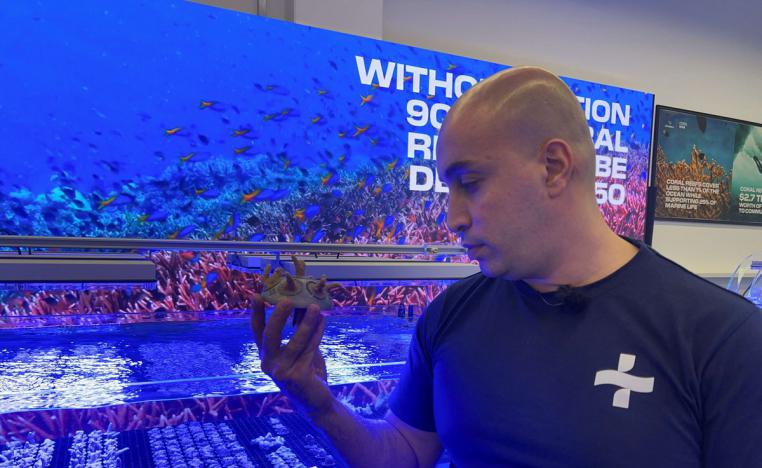 مزرعة كورال فيتا