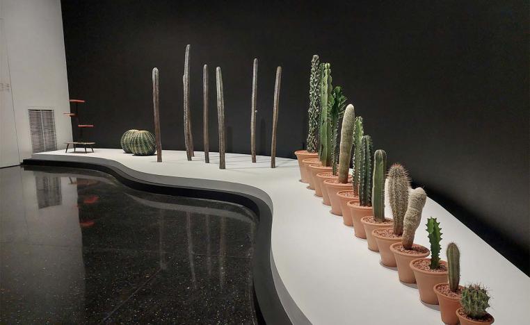 Cacti in ascendance next to the lightly disordered artwork of German artist Katinka Bock