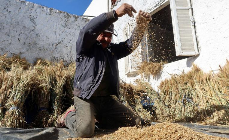 الفلاحون اضطروا لحفر الآبار العشوائية لري منتجاتهم